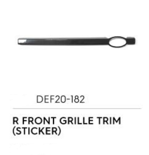 R Front Grille Trim (Sticker) - Luxury Carbon Fiber